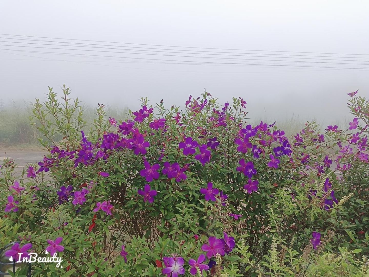 เฟรนด์แคมป์ Khao Kho Exterior foto